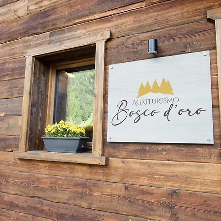 Daire Agriturismo Bosco D'oro 2 Livigno