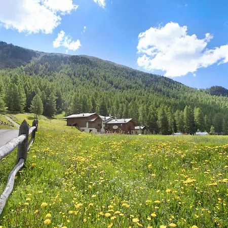 Daire Agriturismo Bosco D'oro 2 Livigno